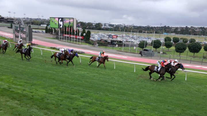 Horse racing footage from DJI Osmo Pocket 3 after Simple LUTS colour grade applied