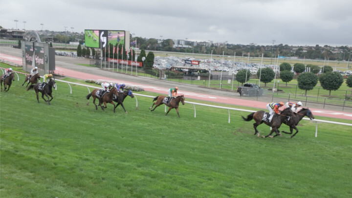 Horse racing footage from DJI Osmo Pocket 3 before colour grading — ungraded D-Log M footage